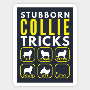 Stubborn Collie Spaniel Tricks - Dog Training Magnet